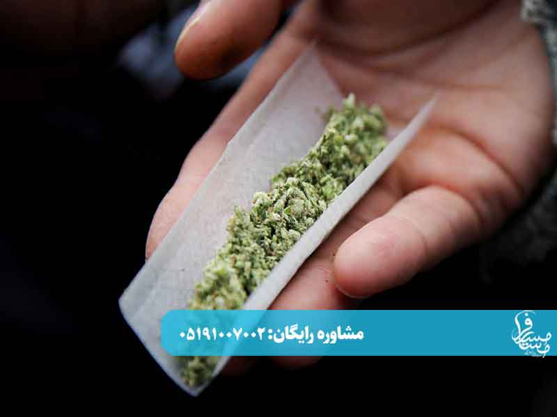 اعتیاد به حشیش 1 اعتیاد به حشیش