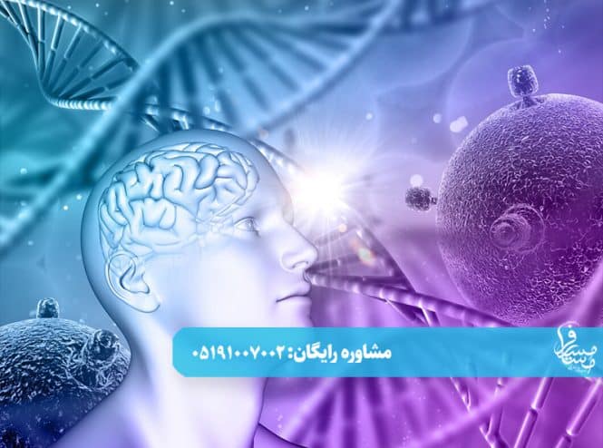 سبک 4 copy 1