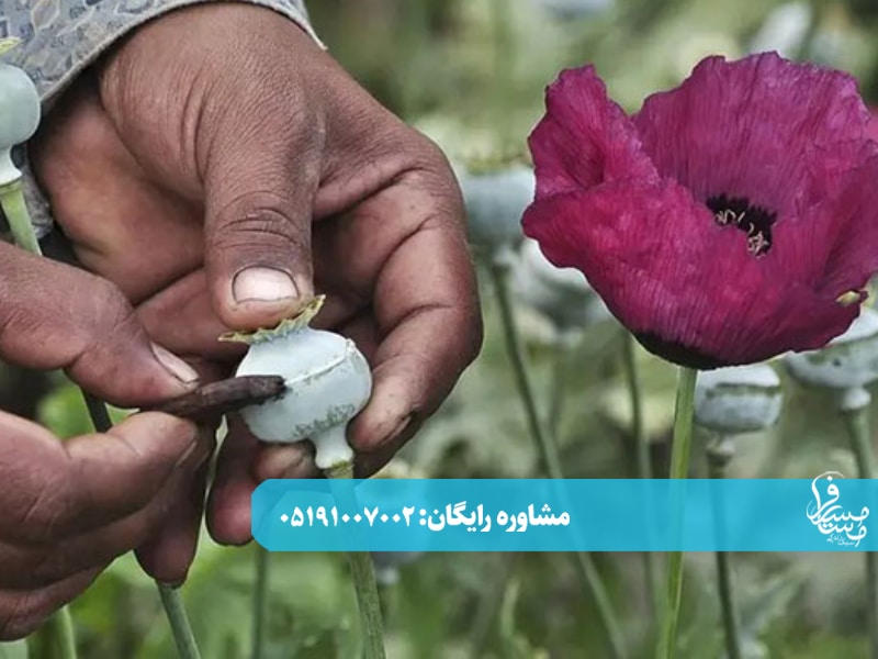 سبک 5