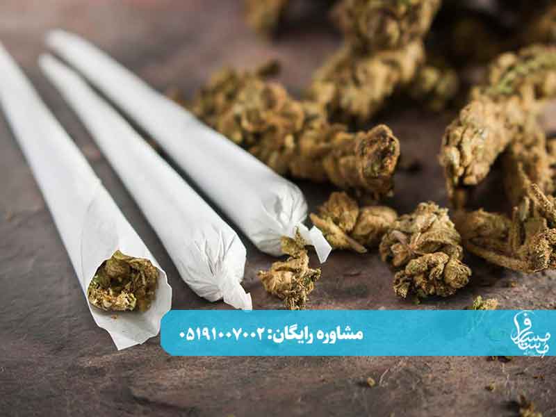ترک گل در منزل چند روز طول میکشد؟ 1 ترک گل در منزل چند روز طول میکشد؟