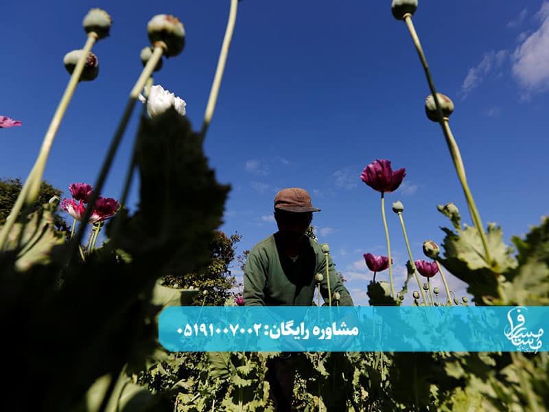 روز بیستم ترک تریاک