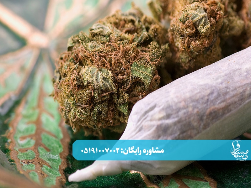 ترک گل با ریتالین