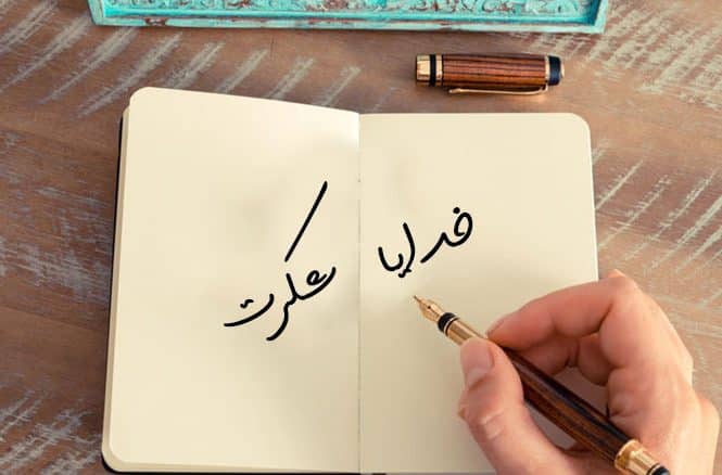 تاثیر شگفت‌انگیز شکرگزاری روزانه در دفتر مسافر