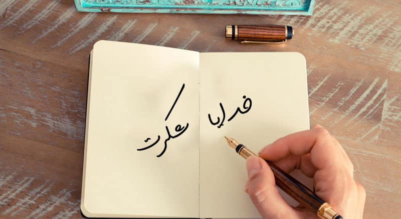 تاثیر شگفت‌انگیز شکرگزاری روزانه در دفتر مسافر