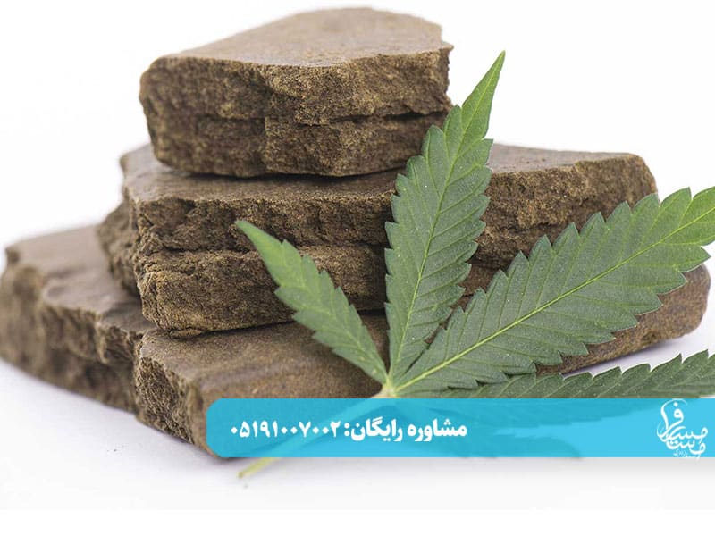 عوارض و تاثیرات حشیش بر مغز