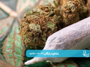 بهترین روش ترک گل در خانه(درمان اصولی چیست؟)