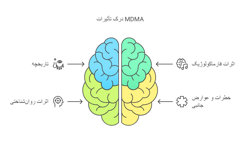 درک تاثیرات MDMA