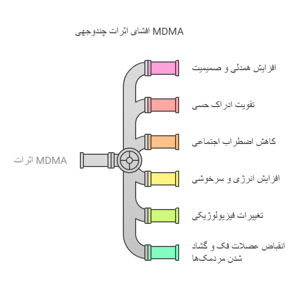 اثرات فارماکولوژیک و روان شناختی قرص MDMA visual selection مسیر مسافر مسیر مسافر