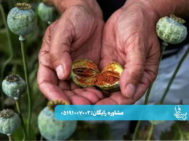 تریاک1
