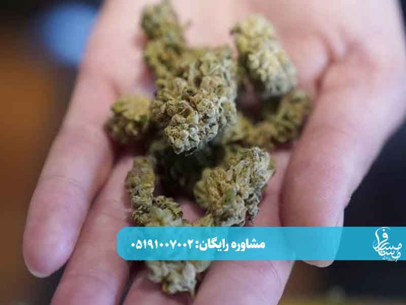 عوارض مصرف همزمان گل و شیشه 2 عوارض مصرف همزمان گل و شیشه