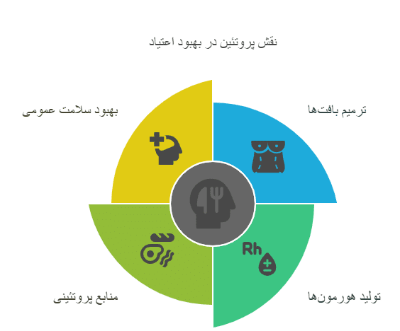 اصول اساسی تغذیه e1743766255483 مسیر مسافر مسیر مسافر