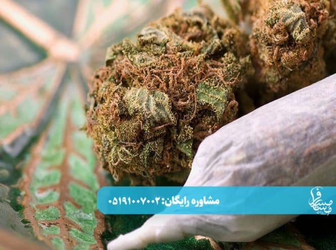ترک حشیش 2