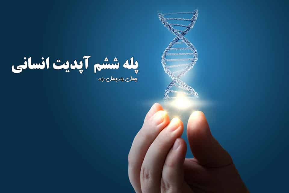 پله ششم آپدیت انسانی