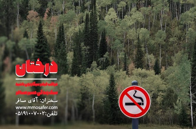 درختان