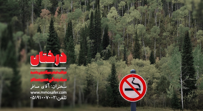 درختان